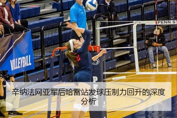 辛纳法网亚军后哈雷站发球压制力回升的深度分析